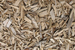 biomass boilers Weythel